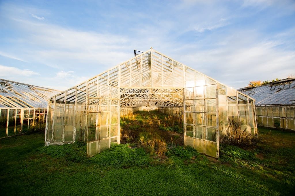 Greenhouse in day time
