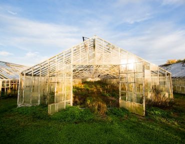 Greenhouse in day time